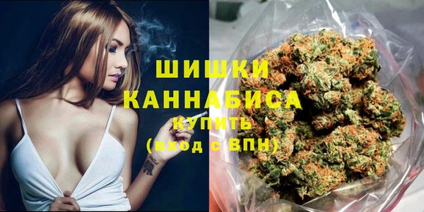 трава Белокуриха