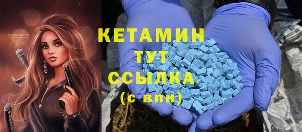 трава Белокуриха