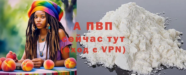 трава Белокуриха